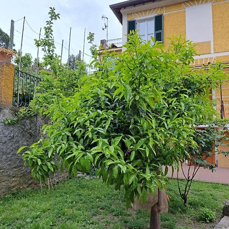 Affittacamere Antonella Monterosso al Mare Exterior foto