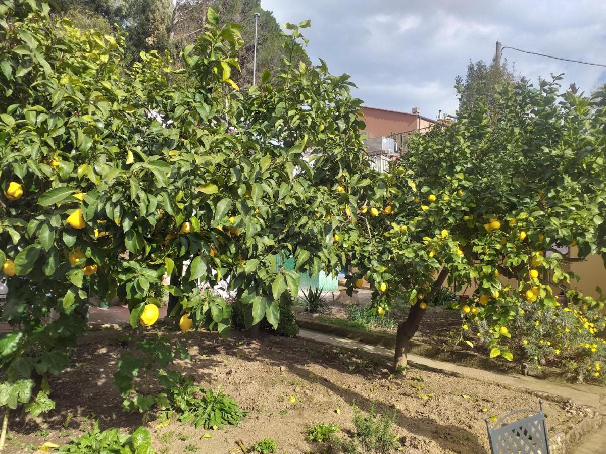 Affittacamere Antonella Monterosso al Mare Exterior foto