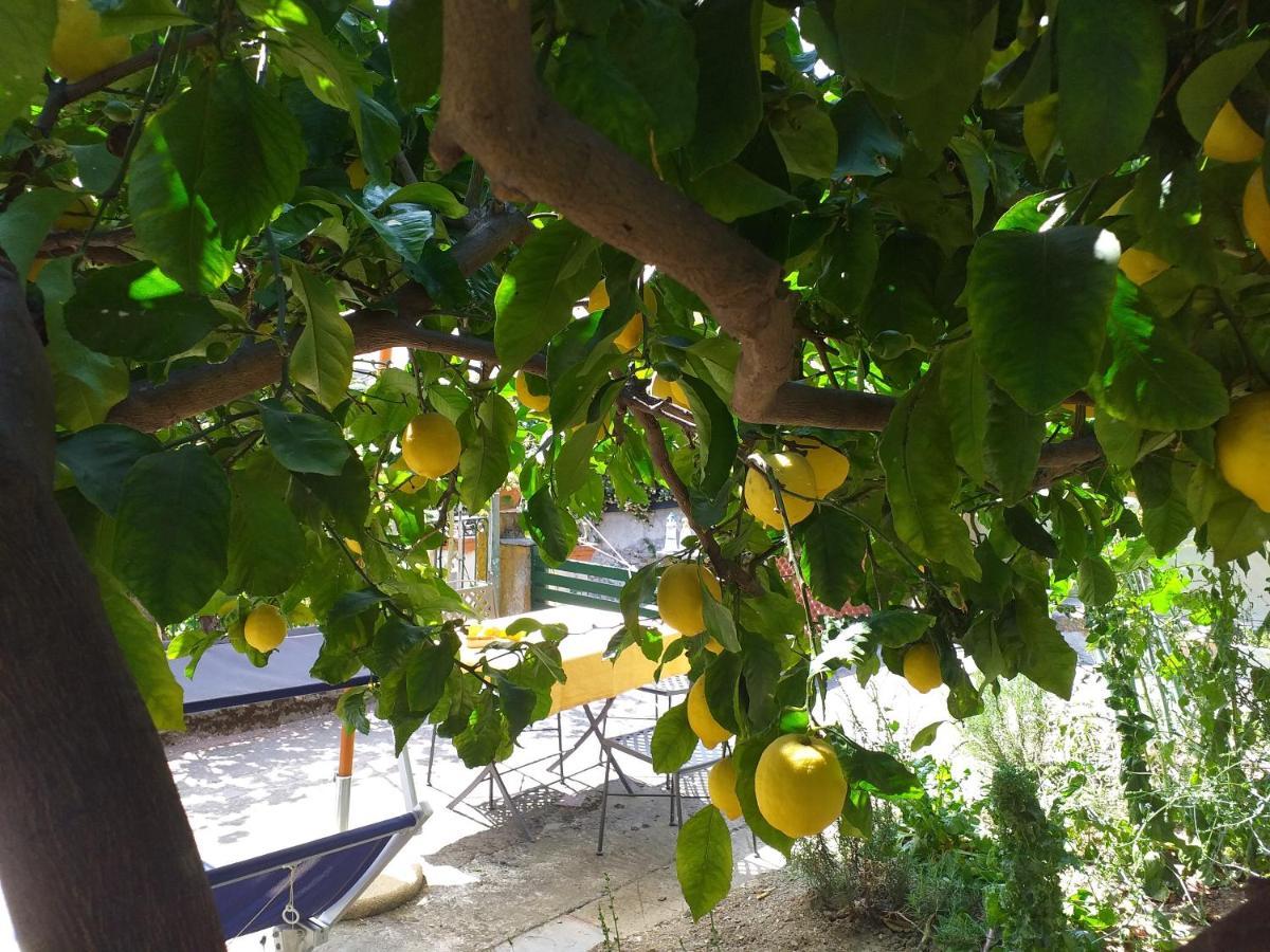 Affittacamere Antonella Monterosso al Mare Exterior foto