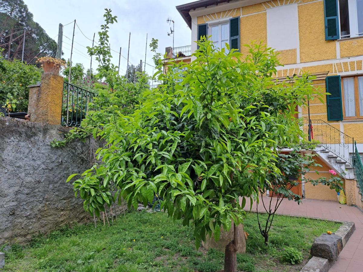 Affittacamere Antonella Monterosso al Mare Exterior foto